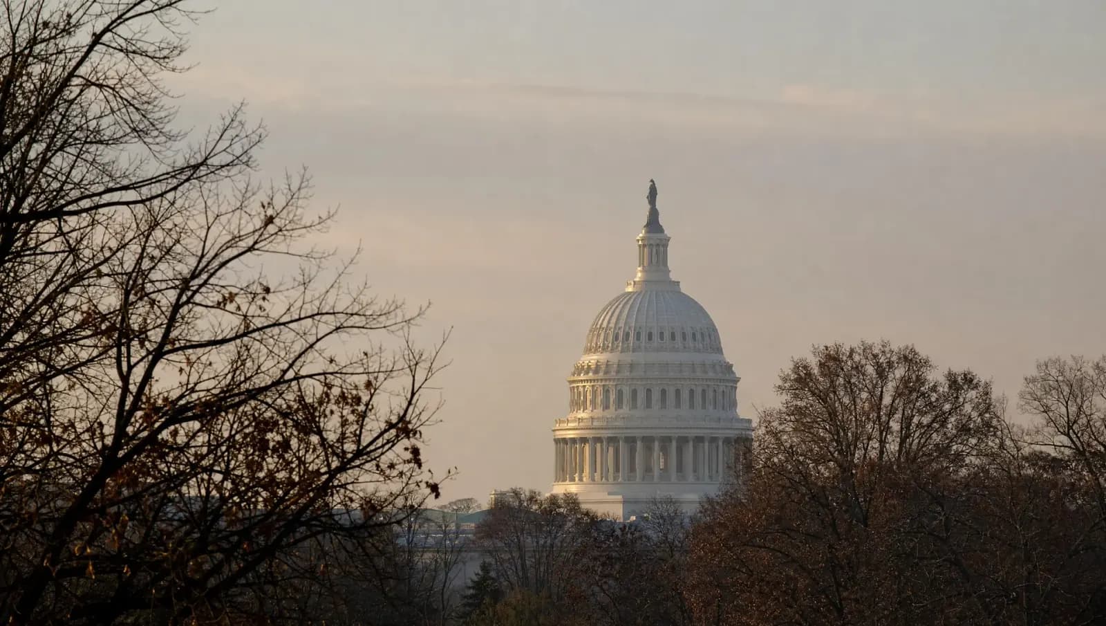The U.S. Capitol dome catching early light, seen through bare winter trees.