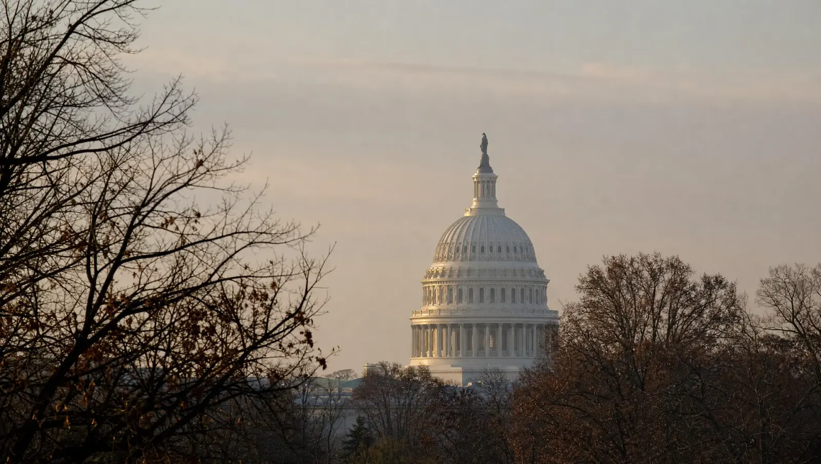The U.S. Capitol dome catching early light, seen through bare winter trees.